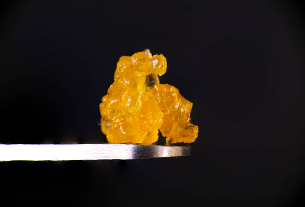 Cannabis Concentrates 101: A Beginner's Guide to the World of Potency