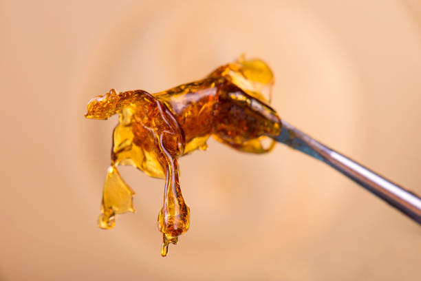 The Future of Cannabis: How Concentrates are Shaping the Industry