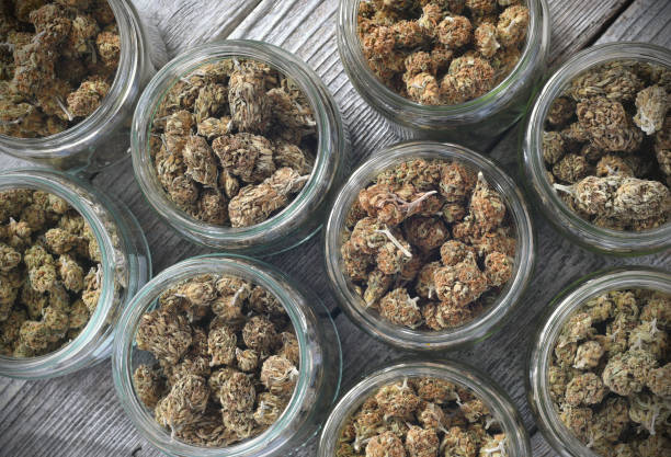 The Chef's Guide: Stocking Your Pantry for Cannabis Cuisine