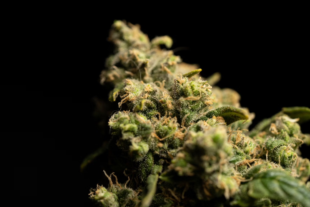 Unveiling the Mystery: 11 Proven Health Benefits of THC Types You Can't Ignore