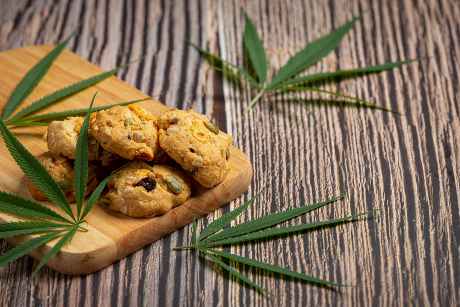 Gourmet or Ganja: The Diverse Uses of Mushrooms and Cannabis