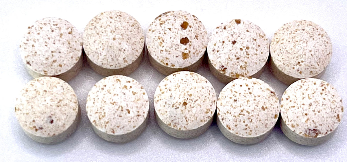 Mycodose: Mushroom Pills